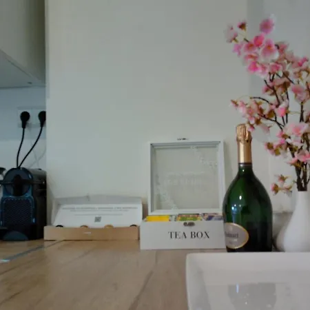 公寓 Elegant At Gare *