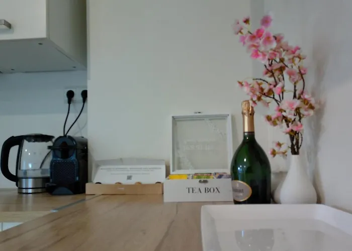 公寓 Elegant At Gare *